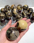 Septarian Spheres