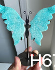 Small Butterfly Wings