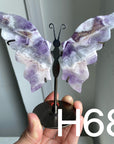 Small Butterfly Wings
