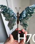 Small Butterfly Wings