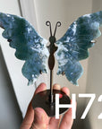 Small Butterfly Wings
