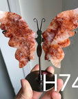 Small Butterfly Wings