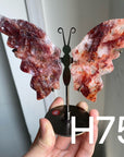 Small Butterfly Wings