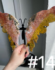 8th Vein Ocean Jasper Butterfly