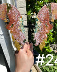 8th Vein Ocean Jasper Butterfly