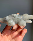 Crystal Crocodile