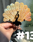 Clearance Peacock Wings