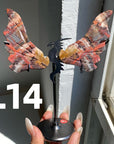 Dragon Wings