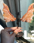 Dragon Wings