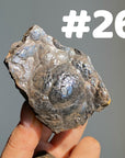 Botryoidal Hematite Specimen