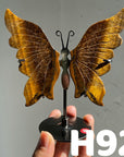 Small Butterfly Wings
