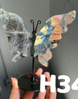 Small Butterfly Wings