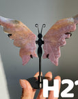 Small Butterfly Wings