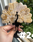 Clearance Peacock Wings