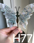 Small Butterfly Wings