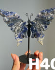 Small Butterfly Wings