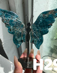 Small Butterfly Wings