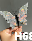 Small Butterfly Wings