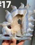 Druzy Agate 9 Tailed Fox