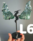 Dragon Wings