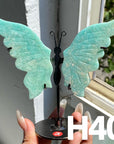 Small Butterfly Wings