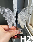 Small Butterfly Wings