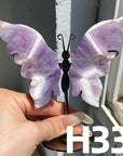 Small Butterfly Wings