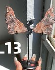 Dragon Wings