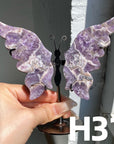 Small Butterfly Wings