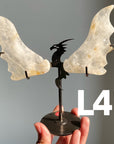 Dragon Wings