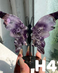 Small Butterfly Wings
