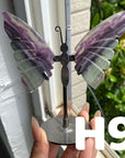Small Butterfly Wings