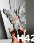 Small Butterfly Wings