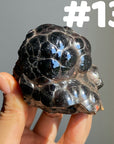 Botryoidal Hematite Specimen