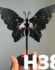 Small Butterfly Wings