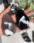 Orca Agate Flames