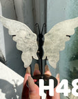 Small Butterfly Wings