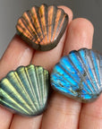 Labradorite Shell