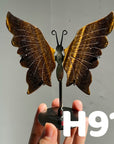 Small Butterfly Wings