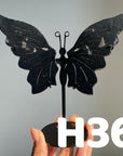 Small Butterfly Wings