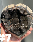 Septarian Egg & Freeform