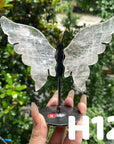 Small Butterfly Wings