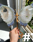 Druzy Agate Butterfly Wings
