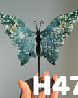Small Butterfly Wings