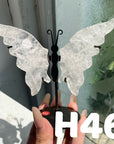 Small Butterfly Wings