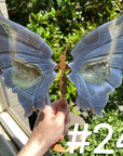 Druzy Agate Butterfly Wings