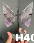 Small Butterfly Wings