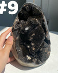 Septarian Egg & Freeform
