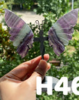 Small Butterfly Wings