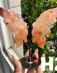 Small Butterfly Wings